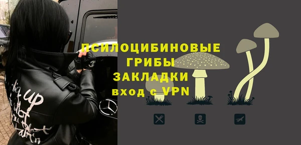 первитин Дмитров