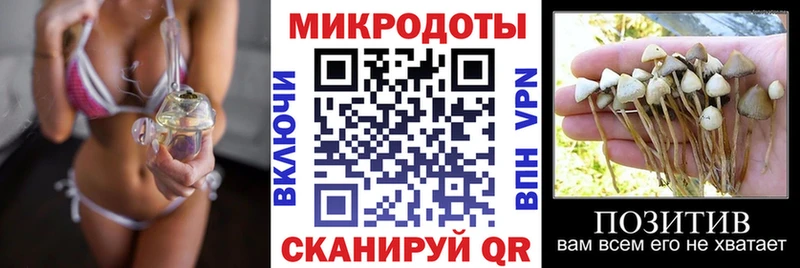Псилоцибиновые грибы ЛСД  Купить закладки  Тосно 